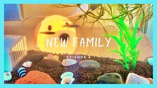 My family has increased! episode 2