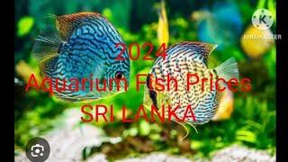 2024 aquarium fish prices Sri Lanka