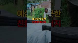 예상하지 못한 친환경 에너지
