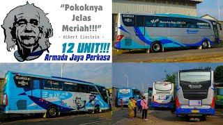 YA JELAS MERIAH!!! KONVOI 12 UNIT Bus Armada Jaya Perkasa Banyak TELOLET dan STROBO