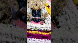 जिसको श्याम दर्शन हो कॉमेंट में जय श्री श्याम लिखना#shyam#vj740#fyp#ytshorts#khatushyam#bhajan#short