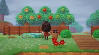 its 4 pm and raining on your island - 1 hour | relax and study with me | chill animal crossing