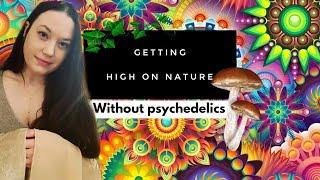 Getting High On Nature Without Using Psychedelics | Biophilia