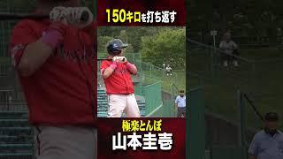 極楽とんぼ山本圭壱が150キロをヒット！芸人No.1の打撃力 #けいちょん