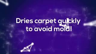 spring hill fl carpet cleaning the easy way 572 4 19