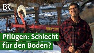 Bodenschutz am Acker: Pflügen oder nicht? | Doku Bio Landwirt | Landwirtschaft | Unser Land