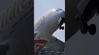 Airbus A380 take off #planespotting #aviation #short