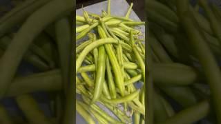 Beans Ki sabji @batasovlog #beans #frenchbeans #shorts #sabji #minivlog #youtubeshorts #video
