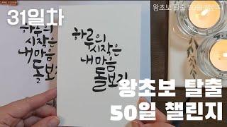 31일차 / 하루의 시작은 내 마음 돌보기 / 캘리그라피 기초 배우기