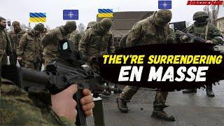 UKRAINE's TOTAL Failure in KURSK: Ukrainian Soldiers and Mercenaries Began To Surrender En MASSE