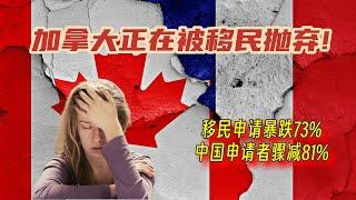 凉了！加拿大正在被新移民抛弃：永居PR申请量73%，中国申请者暴跌81% | 三大原因是主要“元凶“