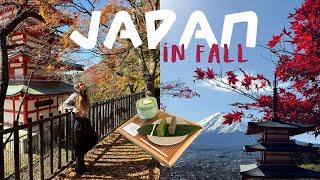 Japan in fall | Tokyo, Mt. Fuji + Kamakura 