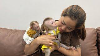 Monkey Tina has special feelings for her mother when she sees her again