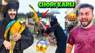 USAMA KA 4 LAKH KA PARROT CHORI KARLI | MISHKAT KHAN VLOG