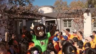 Clifford Math and Technology Magnet meet Buddy Bison   1080p