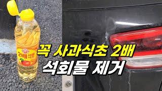 꼭 사과식초 2배여야 합니다 차량 석회물 시멘트 제거