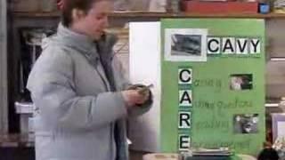 Beth Fleischer - Cavy Care