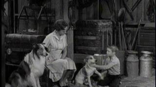 Lassie - Episode #238 - "The Mad Dog" - Season 7, Ep 19 - 01/22/1961