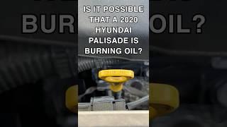 Is this oil burning issue limited to our vehicle? #Hyundai #palisade #oilconsumption