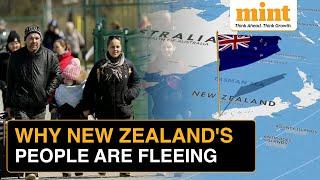 New Zealand Residents FLEE In Record Numbers As Cost Of Living Surges | What's Happening?