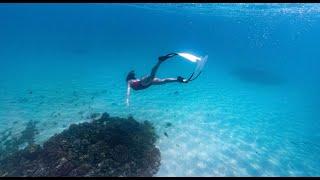 보라카이 호핑투어 프리다이빙 스노클링 스킨다이빙 boracay boracayfreedive boracayfreediving boracaydiving