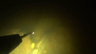 Осеняя подводная охота 26.10.2024 рекf Днепр, лещ, судак, сазан (Autumn spearfishing Dnieper river)