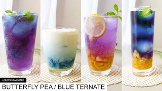 HOME CAFE: BUTTERFLY PEA / BLUE TERNATE (with an inspired art)