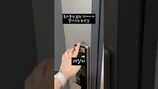 도대체 무슨 생각을 하는 걸까 #웰시코기 #분리불안 #반려동물 #동물짤 #반려견