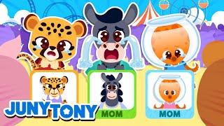 Baby Animals Got Lost | Where is Your Mommy? | +More Kids Songs | Cartoon | JunyTony