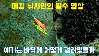 에깅낚시 바닥에 어떻게 걸려있을까 (밑걸림 확인)