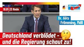 Deutschland verblödet - und die Regierung schaut zu! - Dr. Götz Frömming, AfD