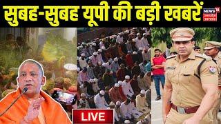 Live UP News: यूपी की बड़ी खबरें लाइव | Sambhal Holi | Masjid Covered | CM Yogi | CO Anuj Chaudhary