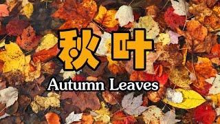 Autumn Leaves ，  秋叶