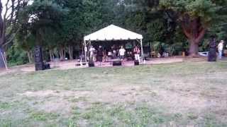 Twisted Ric at Middletown Music Fest 2014