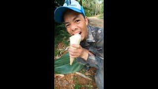 Măng ngọt ở vùng cao/Sweet bamboo shoots in the highlands/Khan Pieu Food