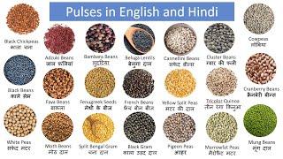 Pulses names in English & Hindi | Pulses Vocabulary | English Vocabulary | Hindi Vocabulary