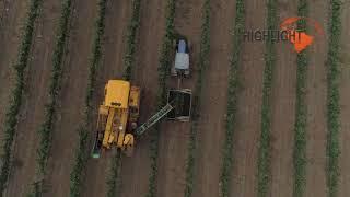 AGR_006 Stock footage of Agriculture in Israel: 4K aerial drone - top shot of a vineyard in Israel