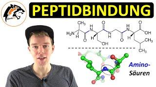 Peptide & Peptidbindung (Aminosäuren) | Chemie Tutorial