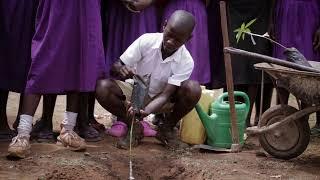 How to plant a tree  Mbale2022
