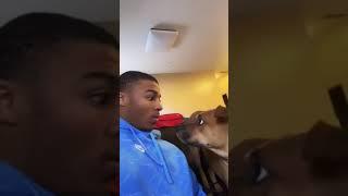 That dog said “now listen here mutha____… I ain’t these other dogs” 