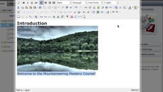 Litmos Author: HTML 5 Editor