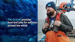 The Ocean provides food & jobs for millions: World Ocean Day with the Marine Stewardship Council MSC