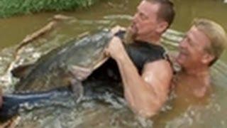 Monster Catfish Wrestling | Hillbilly Handfishin'