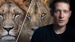 How to Photo Edit Wildlife Portraits in Photoshop!