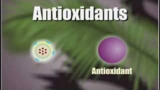 How Antioxidants Work