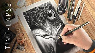 Satisfying EAGLE Drawing Time-lapse!