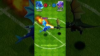 EDragon VS Dragon  Clash of Clans