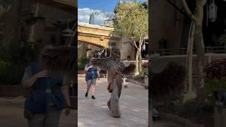 Unforgettable Encounters with Chewbacca!