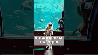 Москвариум на ВДНХ #вднх#москвариум