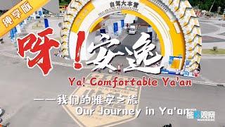 我们的雅安之旅！OurJourney in Ya'an【熊猫观察】